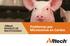 Problemas por Micotoxinas en Cerdos