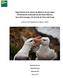 Seguimiento de la colonia de albatros de ceja negra (Thalassarche melanophrys) del Islote Albatros, Seno Almirantazgo, Isla Grande de Tierra del Fuego