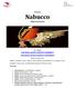 Nabucco Nabucodonosor