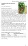 Horticultura y Floricultura - FCAyF- UNLP- 2014