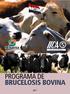 Propuesta para la reformulación del Programa de Brucelosis bovina del SENACSA - Paraguay