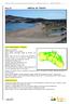 Valoració turística i recreativa dels recursos naturals: I. Les platges de Menorca ARENAL DE TIRANT