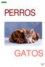 Gatos Malta Gato 100gr Gimpet. Mister Cat Leche de Gatos gr gr Vita. Cat Crossys con Malta 50 gr.