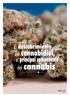 El descubrimiento del cannabidiol, el principal componente del cannabis. por Mónica Hinojosa Becerra e Isidro Marín