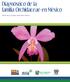 Diagnóstico de la familia Orchidaceae en México