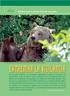 EXTREMAR LA VIGILANCIA. Acciones para la preservación del oso pardo