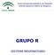 Guía Farmacoterapéutica de Hospital Sistema Sanitario Público de Andalucía GRUPO R