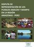 DISPUTA DE REPRESENTACIÓN DE LOS PUEBLOS AWAJÚN Y WAMPIS EN LA REGIÓN AMAZONAS - PERÚ