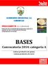 BASES Convocatoria 2014: categoría A