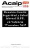 Reunión Comité Seguridad y Salud laboral II.PP. en Valencia 27 octubre 2017