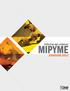Informe del módulo MIPYME ENHOGAR-2013