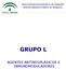 Guía Farmacoterapéutica de Hospital Sistema Sanitario Público de Andalucía GRUPO L