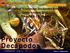 Proyecto Decápodos. I Workshop Crustáceos Decápodos Ibéricos Cádiz, octubre 2015 P. Abelló & J.A. Cuesta. Informe