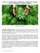 Ahora en Colombia primer medicamento derivado del cannabis para Espasticidad por Esclerosis Múltiple