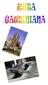 Índex: Introducció...1. Itinerari: Sagrada Família...2. Park Güell...3. Taula de preus...5. Valoració...6. Crèdits...7
