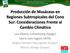 Producción de Musáceas en Regiones Subtropicales del Cono Sur: Consideraciones Frente al Cambio Climático