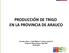 PRODUCCIÓN DE TRIGO EN LA PROVINCIA DE ARAUCO. Christián Alfaro J.; Iván Matus T.; Dalma Castillo R.; Programa Mejoramiento Trigo INIA