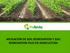 Agricultura APLICACIÓN DE SOIL REMEDIATION Y SOIL REMEDIATION PLUS EN AGRICULTURA
