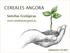CEREALES ANGORA. Semillas Ecológicas
