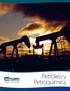 Petróleo y Petroquímica