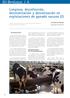 Limpieza, desinfección, desinsectación y desratización en explotaciones de ganado vacuno (I)