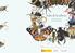 Bichos de tu entorno. Guía de insectos y otros artrópodos. nombre: