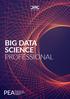 BIG DATA SCIENCE PROFESSIONAL PEA. Programa de Especialización Analítica