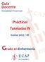 Guía Docente Modalidad Presencial. Prácticas Tuteladas IV. Curso 2017 / 18. Grado en Enfermería