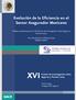 XVI. Evolución de la Eficiencia en el Sector Asegurador Mexicano. Premio de Investigación sobre Seguros y Fianzas 2009