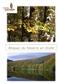 Bosques de Navarra en otoño