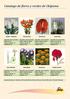 Catalogo de flores y verdes de Chipiona
