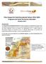 Plan Integral de Salud Bucodental Sahara Programa de Salud Territorios Liberados Octubre 2017