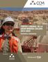 Fuerza Laboral de la Gran Minería Chilena Resultados y conclusiones