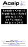 Reunión Comité Seguridad y Salud laboral II.PP. en Valencia 30 junio 2017