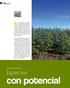 con potencial Especies Dendroenergía en Chile Biomasa