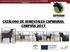 Asociación Nacional de Criadores de Caprino de Raza Murciano-Granadina (CAPRIGRAN) Catálogo 2017 CATÁLOGO DE SEMENTALES CAPRIGRAN CAMPAÑA 2017