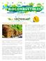 Colombia un país de biomasas pero sin Políticas Públicas