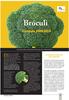 Bróculi. Campaña