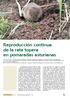 Reproducción continua de la rata topera en pomaradas asturianas