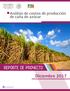 CONADESUCA Comite Nacional para el Desarrollo Sustentable de la Caña de Azúcar. Análisis de costos de producción de caña de azúcar REPORTE DE PROYECTO