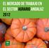 el mercado de trabajo en el sector agrario andaluz 2012