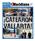 CATEARON VALLARTA! POR LA EJECUCION DE LOS 2 FEDERALES Puerto Vallarta. Bahía de Banderas. Editor: Adrián De los Santos