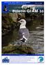 Boletín GIAM 30. BOLETíN DEL GRUPO IBÉRICO DE AVES MARINAS Iberian Seabird Group Newsletter. Nº30, Inv.2008
