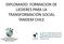 DIPLOMADO: FORMACION DE LIEDERES PARA LA TRANSFORMACIÓN SOCIAL TANDEM CHILE