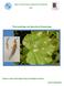 Plant pathology and Agricultural Entomology