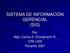 SISTEMA DE INFORMACIÓN GERENCIAL (SIG) Por: Mgtr. Carlos A. Changmarín R. CPA 1429 Panamá, 2007