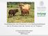 Contribución del Pastoreo a la Sustentabilidad de la Producción de Carne en el Trópico