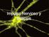 Impulso Nervioso y sinapsis