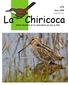 N 6. Junio 2008 ISSN X. Chiricoca. boletín electrónico de los observadores de aves en Chile