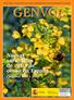 GENVCE. Nuevas variedades de colza de otoño en España. Campañas 2008 y 2009